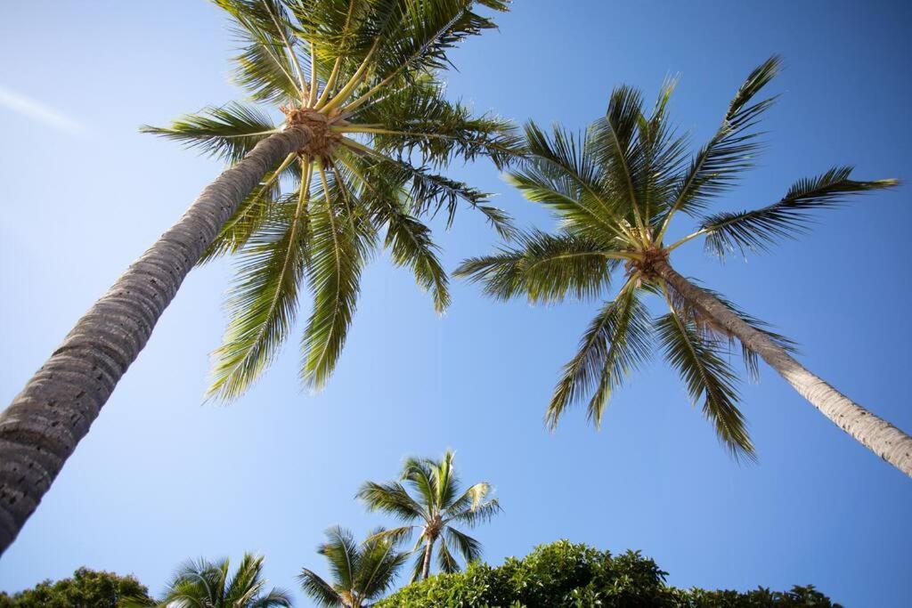 Airlie Sun & Sand Motel Accommodation #4 Airlie Beach Luaran gambar